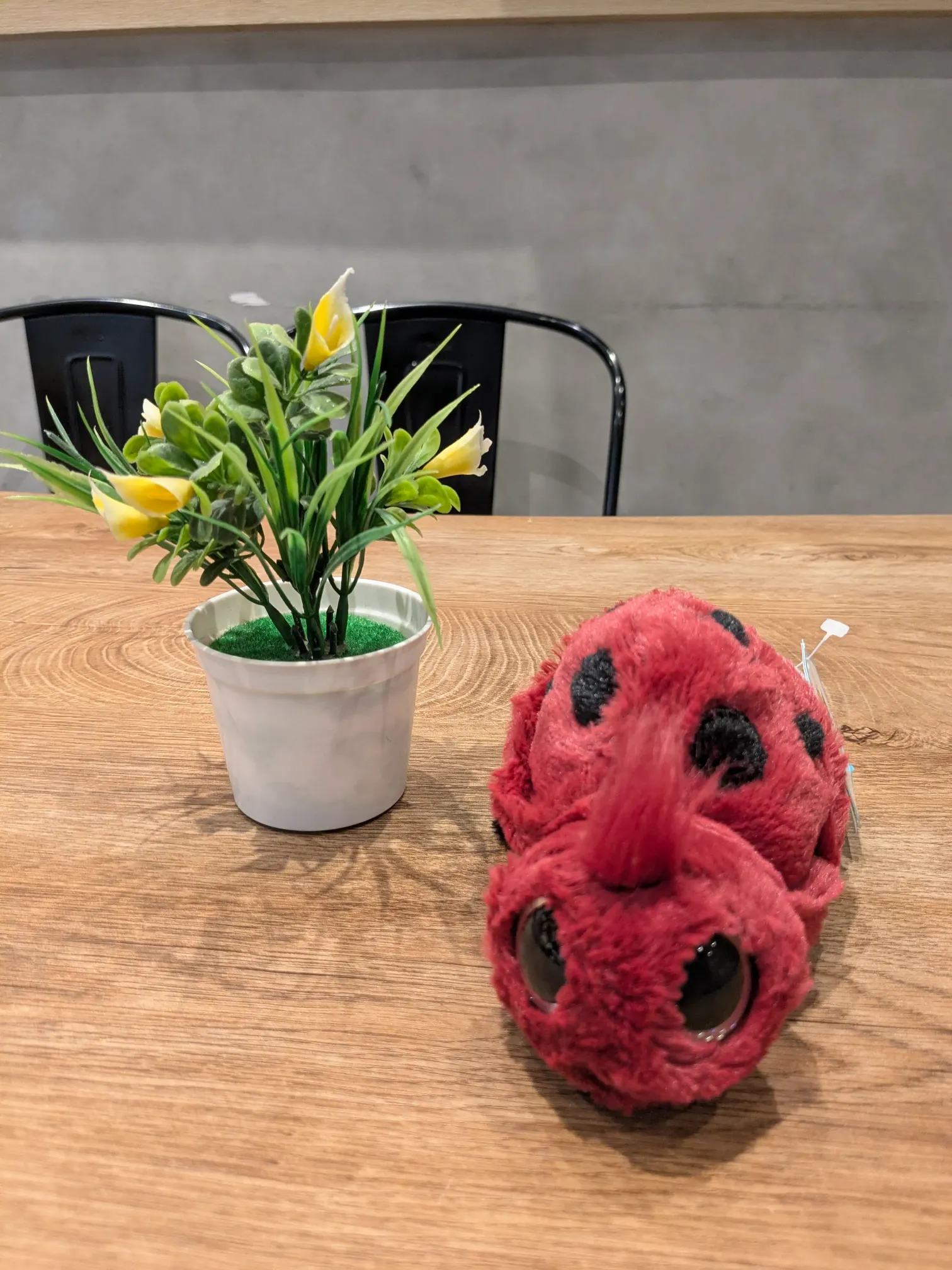 Jellycat Frizzles Ladybird